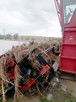 Wading through the aftermath