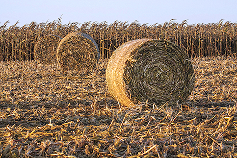 bales