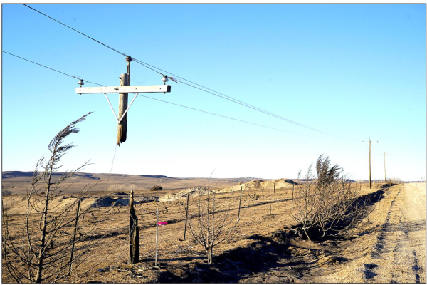 THE AFTERMATH OF THE FOUR COUNTY FIRE, DECEMBER 15