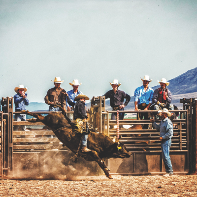 bull rider
