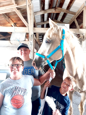 cockrell horses