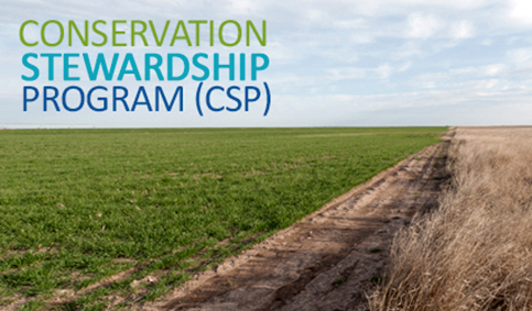 conservation stewardship program