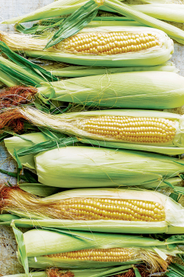 corn