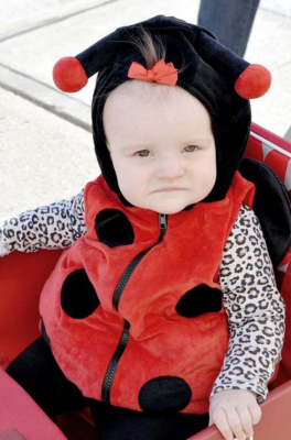 Little Ladybug
