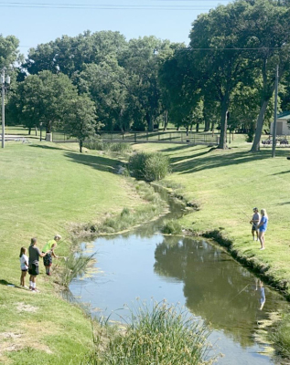 FISHING IN THE PARK