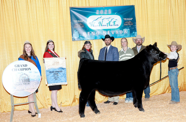 TT HANDSOME 438 won grand champion steer at the 2025 Western Regional Junior Angus Show, March 29 in Reno, Nev. Eli Atkisson, Stockton, Kan., owns the March 2024 son of SCC SCH 24 Karat 838. Dustin Frank, Chappell, Neb., evaluated the owned females, bred-and-owned females, bred-and-owned bulls, cow-calf pair and steers, and Doug Stevenson, Laurel, Mont., evaluated the phenotype and genotype females before naming champions. (Photo by Next Level Images)