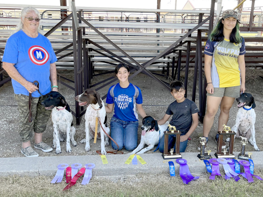 Creightons show Agility at the Rooks Co. Free Fair on July 22