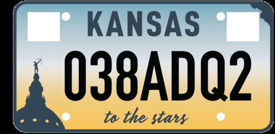 THISWINNING LICENSE PLATE received 53% of the votes or just over 140,000.