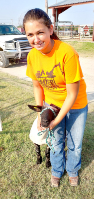Fun at the Rooks County Free Fair