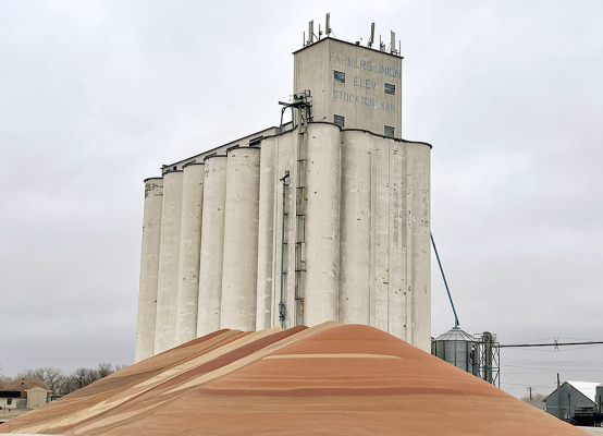 THE AREA FALL HARVEST is in full swing and the milo mountain is growing at the Stockton Farmers Union Elevator. At the start of the week it was reported that 353 bushels of milo had been taken in.