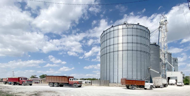 THE WHEAT TRUCKS