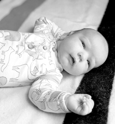 SULLIVAN DANIEL LARSON