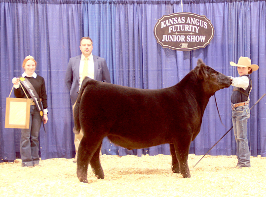 TT HANDSOME 438 won Grand Champion Steer at the 2025 Kansas Angus Association Futurity Junior Show, January 25-26 in Hutchinson. Eli Atkisson, Stockton, (right), owns the March 2024 son of SCC SCH 24 Karat 838. Brandon Bratcher, Elizabeth, Ind., evaluated the 66 entries. (Photo by Jeff Mafi, American Angus Association.)
