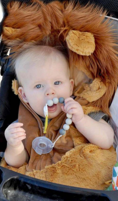 THIS LITTLE LION