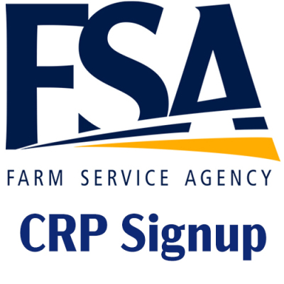 fsa