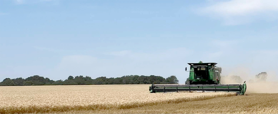 harvest