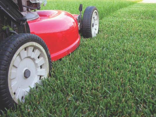 lawn mower