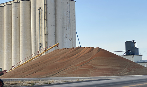 milo pile