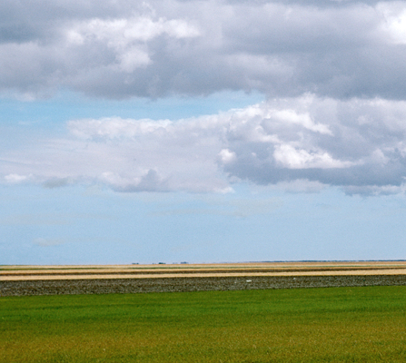 pasture