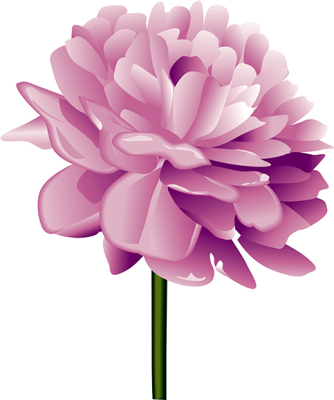 peony with stem