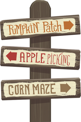 pumpkin patch