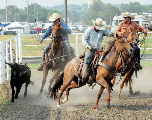One of the Ranch Rodeo teams competes in the Trailer Loading event at the Rooks County Free Fair.