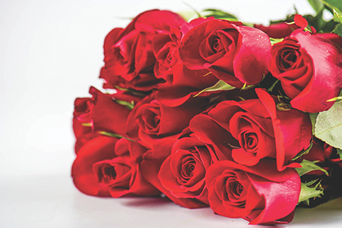 roses