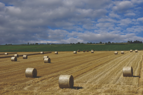 round bales