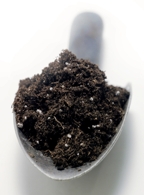 soil