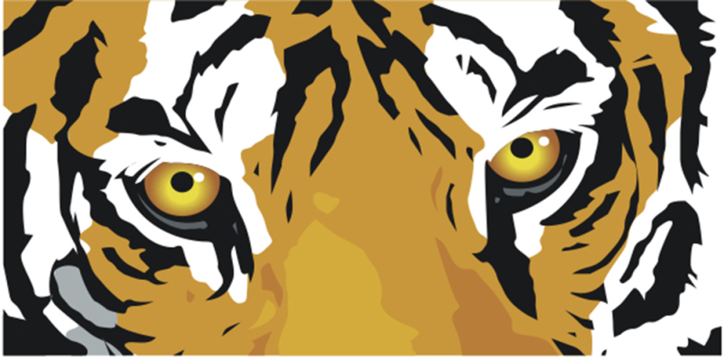 tiger