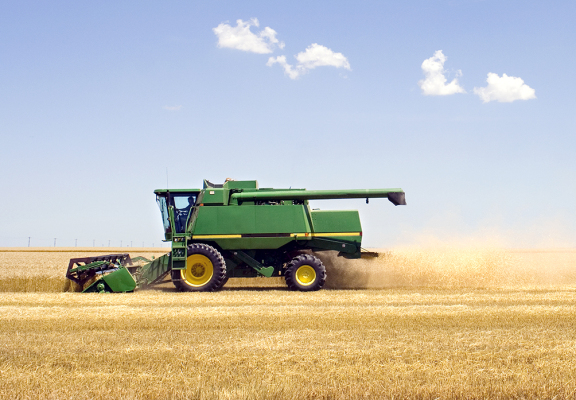 wheat harvest