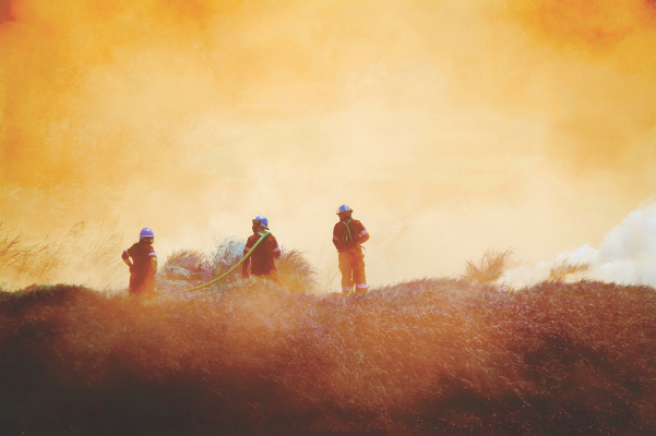 wildfire